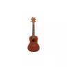 Comprar Ashton UKE240mh Tapa Caoba al mejor precio