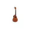 Comprar Ashton UKE240EQmh Ukelele Concierto Amplificado al