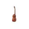 Comprar Ashton UKE280mh Caoba al mejor precio