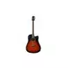 Comprar Ashton D20CEQtsb Sunburst al mejor precio