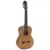 Comprar Admira A40s EF Satinada Fishman Serie Artesania al