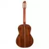 Comprar Godin Concert al mejor precio
