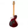 Comprar Godin Xtsa Koa Extreme Hg With Bag al mejor precio