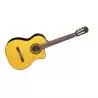 Compra takamine gc5cenat al mejor precio