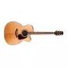 Compra takamine gj72cenat al mejor precio