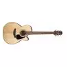 Compra takamine gn30cenat al mejor precio