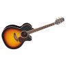 Compra takamine gn71cebsb al mejor precio