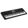 Compra Casio CT-X800 TECLADO 61 TECLAS al mejor precio