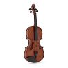 Comprar Violin Stentor Student II SH 3/4 al mejor precio