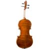 Comprar Violín F. Müller Virtuoso 4/4 al mejor precio