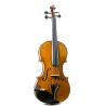 Violín eléctrico Siracusa 4/4