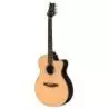Comprar PRS SE A60e Natural al mejor precio
