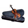 Compra violin carlo giordano vs15 1/4 al mejor precio