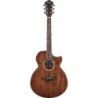 Comprar Ibanez AE295LTD-NT Natural al mejor precio