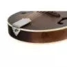 Comprar Ortega RMA30-WB A-Style Whiskey Burst al mejor precio