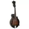 Comprar Ortega RMF30-WB F-Style Whiskey Burst al mejor precio