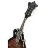 Comprar Ortega RMF30-WB F-Style Whiskey Burst al mejor precio