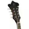 Comprar Ortega RMF30-WB F-Style Whiskey Burst al mejor precio