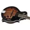 Comprar Ortega RMFE30-WB F-Style Electrificada Whiskey Burst al
