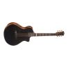 Cort Modern Black Tbk W/Case