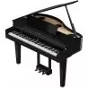 Roland GP-6 PE