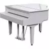 Roland GP-9M PW