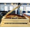 Comprar Grotrian Steinweg (1992) al mejor precio