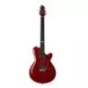 Comprar Godin Signature DS-1 With Bag al mejor precio