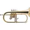 Compra j.michael fg500 fliscorno sib al mejor precio