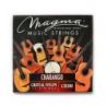 Comprar Magma Ch100 Cuerdas De Charango Nylon Cristal al mejor