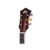 Comprar Guild F250e Deluxe Antique Burst al mejor precio