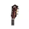 Comprar Guild F250e Deluxe Antique Burst al mejor precio