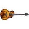 Comprar Breedlove Pursuit Exotic S Conc Amber 12S CE Guitarra