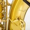 Comprar Bressant As202 Saxofón Alto Lacado En Fa al mejor precio