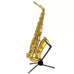 Bressant As220 Saxofón Alto Lacado En Fa