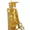 Comprar Bressant As220 Saxofón Alto Lacado En Fa al mejor precio