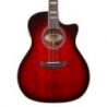 D&#039;angelico Premier Gramercy Trans Black Cherry