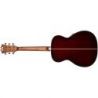 D&#039;angelico Premier Tammany Trans Black Cherry Bst