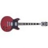 D&#039;Angelico Premier Brighton Oxblood