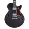 Comprar D&#039;Angelico Premier Ss Black Flake al mejor precio