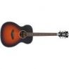 Comprar D&#039;angelico Premier Tammany Ls Satin Vintage Sunburst al