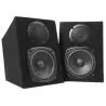 Compra FENTON Juego de altavoces tipo monitor 2x 100W al mejor precio