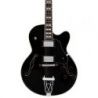 Comprar Sire Larry Carlton H7f Black al mejor precio