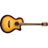 Comprar Washburn Festival Ea15 Tobacco Burst Guitarra