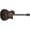 Comprar Washburn Deep Forest Ebony Ace Striped Ebony Guitarra