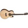 Comprar Washburn Festival Series Ea20-S Nuno Bettencourt