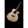 Comprar Washburn Wcg66sce Comfort Series Spalt Maple Guitarra