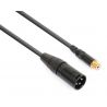 Compra PD CONNEX Cable convertidor XLR Macho- RCA Hembra al mejor precio