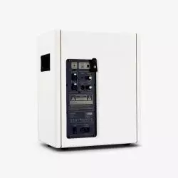 Positive Grid Spark CAB Pearl