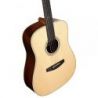 Comprar Alvarez LD70E HF Laureate Dreadnought al mejor precio